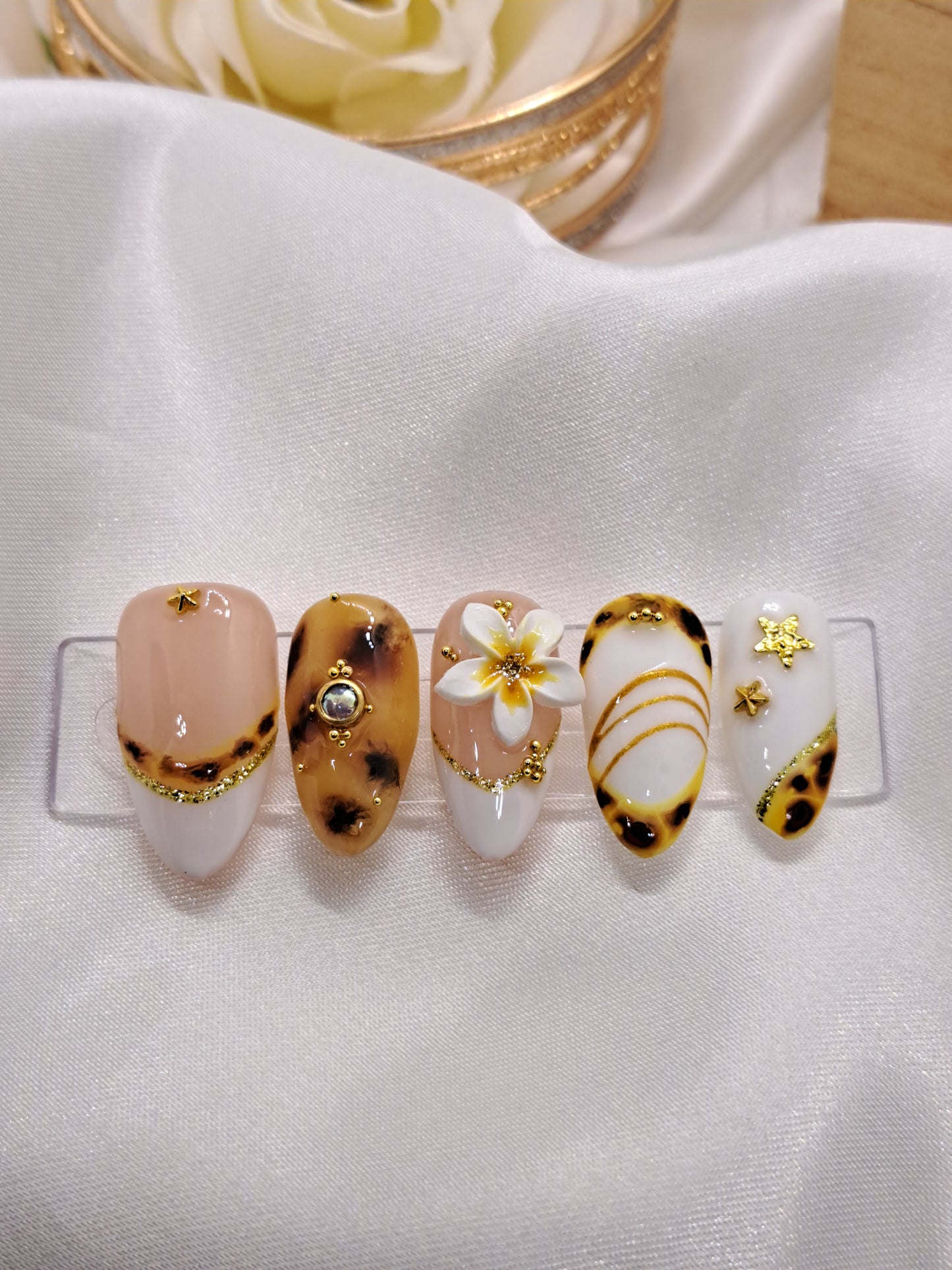 Silk Testudo Bloodline